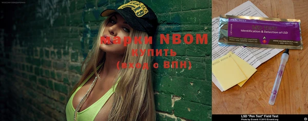 молекула духа Балахна