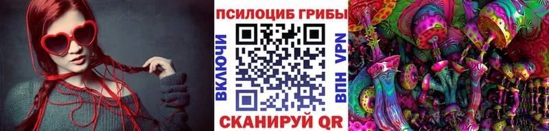 где найти наркотики  Зеленоградск  Псилоцибиновые грибы мицелий 