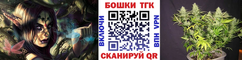 Каннабис планчик  дарнет шоп  Зеленоградск 